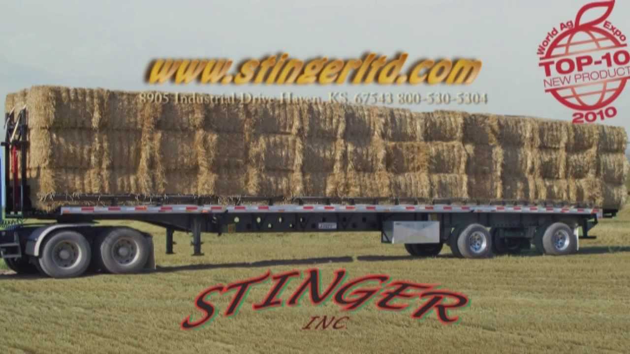 Stinger ALSS 2013