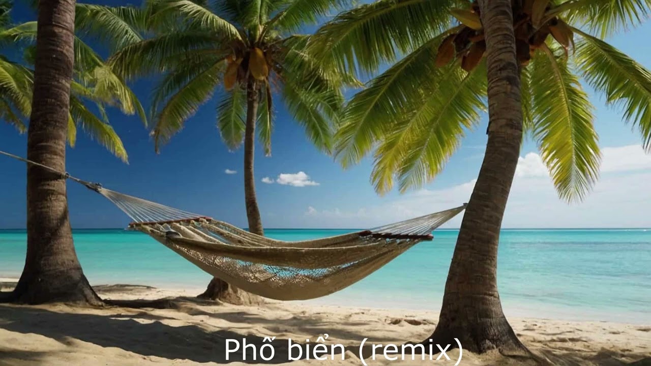 Phố biển remix