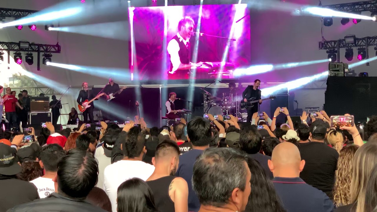 Elefantes vive latino 2020 - Duele