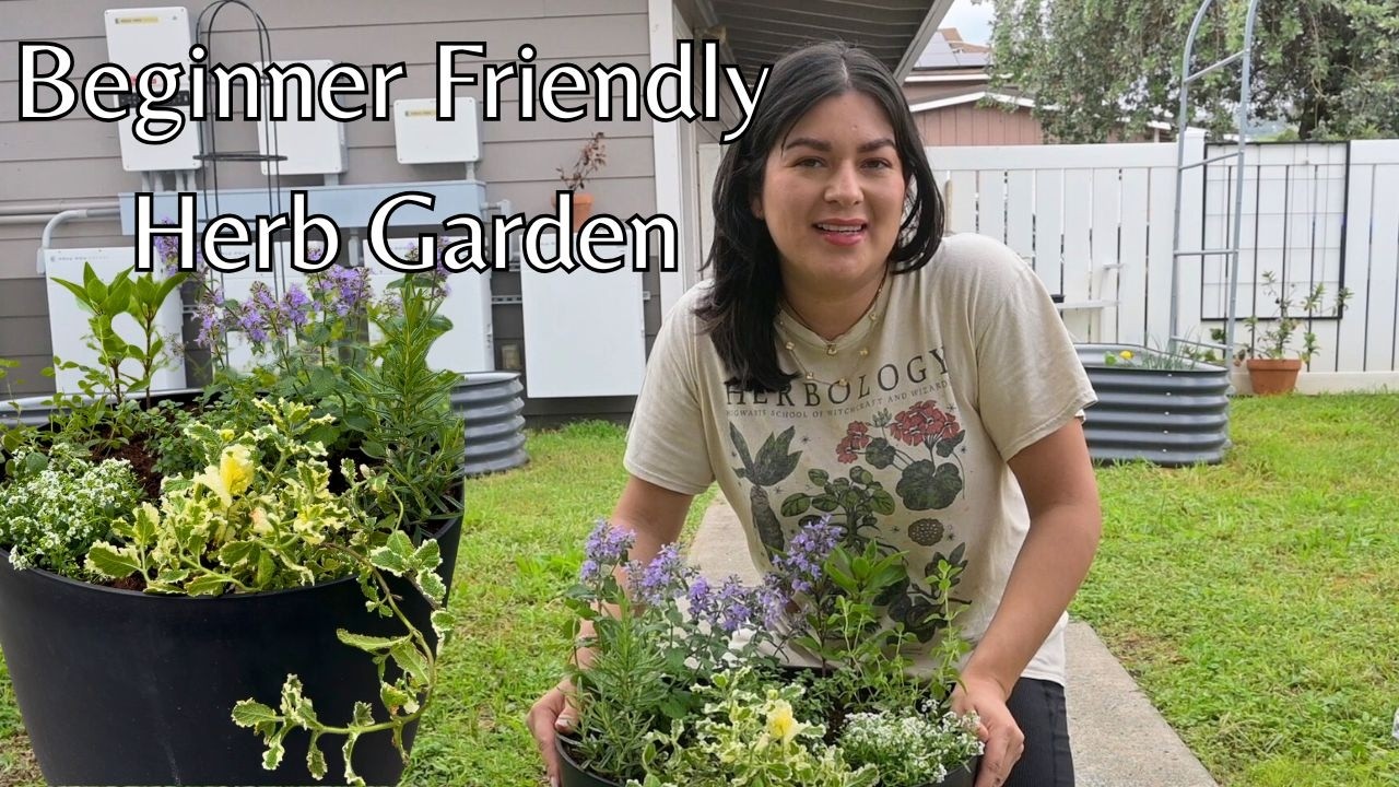 Grow Your Own Herbs at Home (Beginner-Friendly Container Garden)