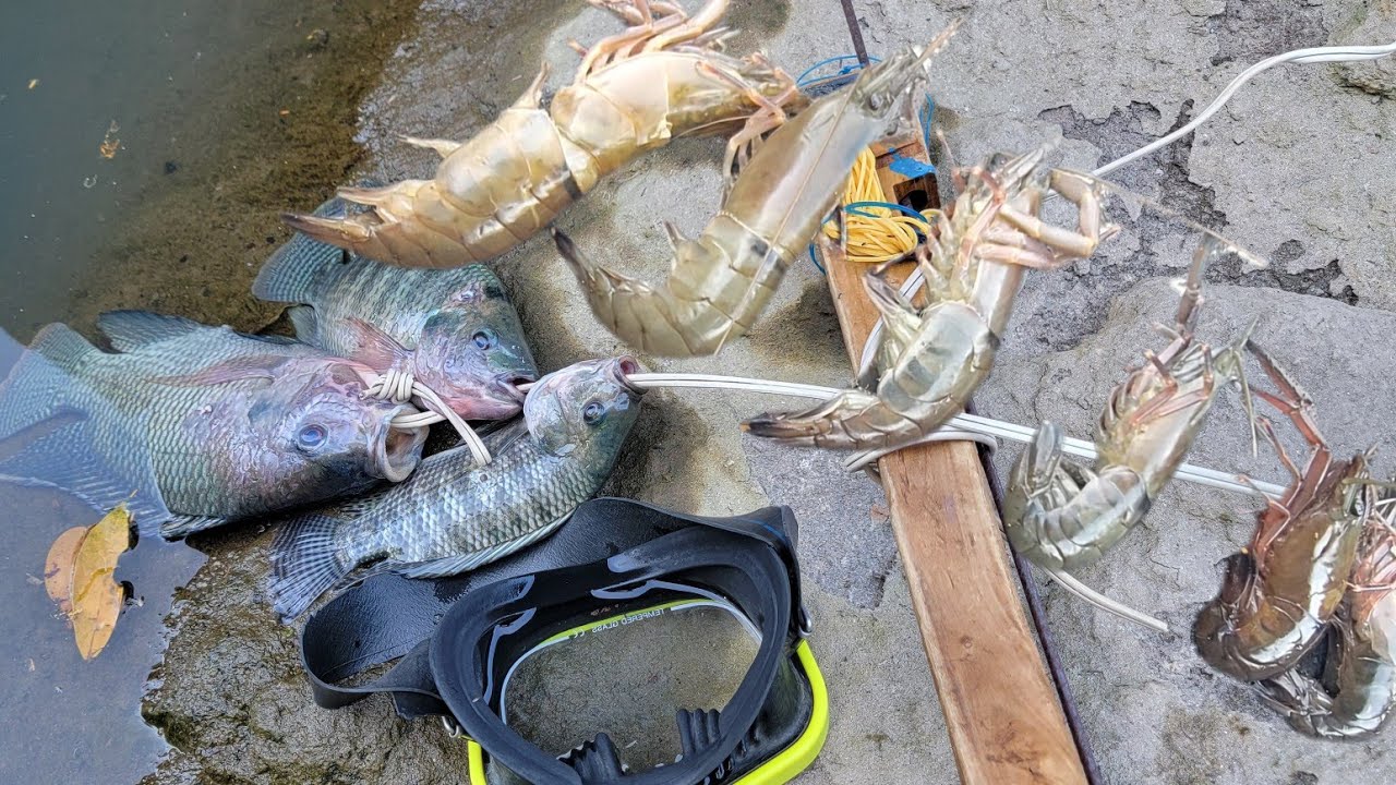 Juan Perez visita el famoso río de los cangrejos 🦀 en el salvador