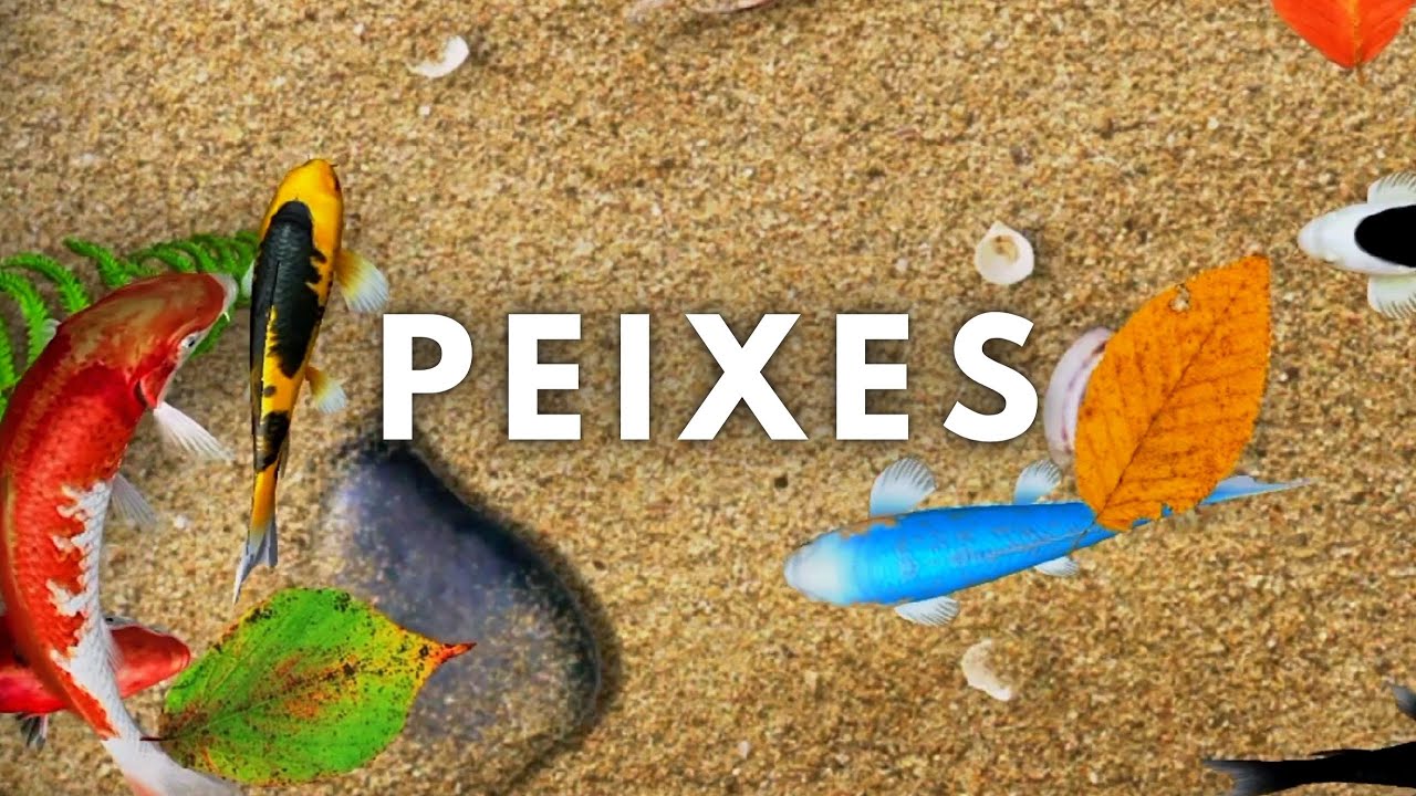 Jogos para gatos - PEIXES🐠