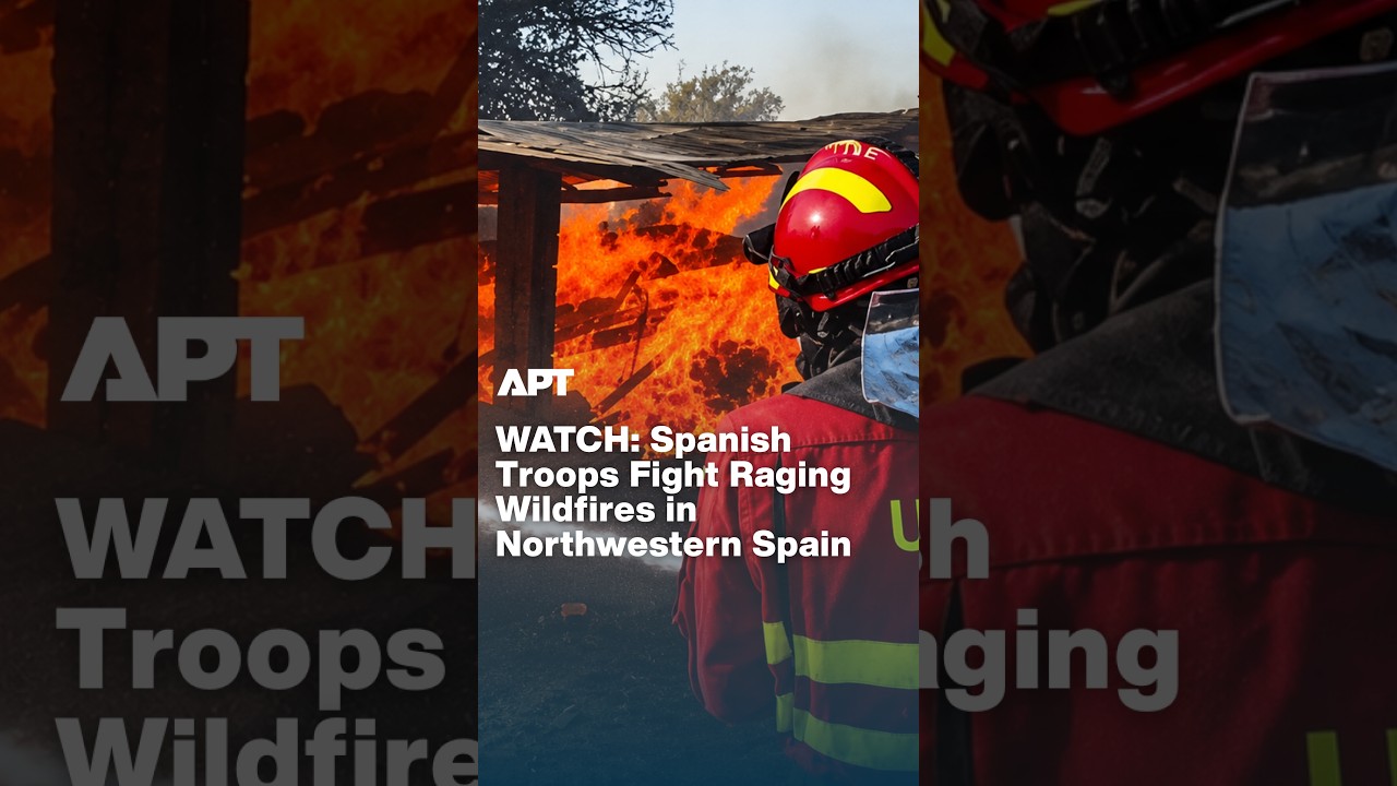 WATCH: Military Firefighters Rush to Contain Wildfires in Spain's Zamora Province | APT