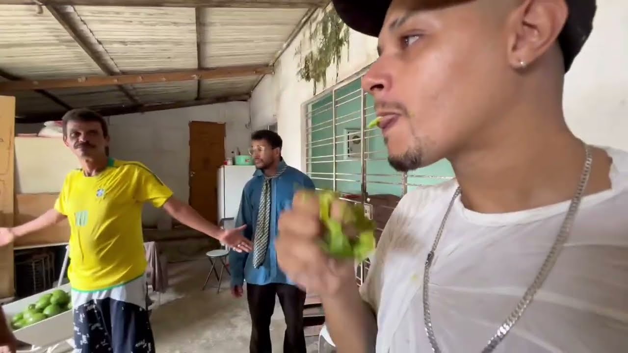 DIDINHO COLOCOU O BEBO DENTRO DO CARRO DE ABACATE | DIDINHO 
