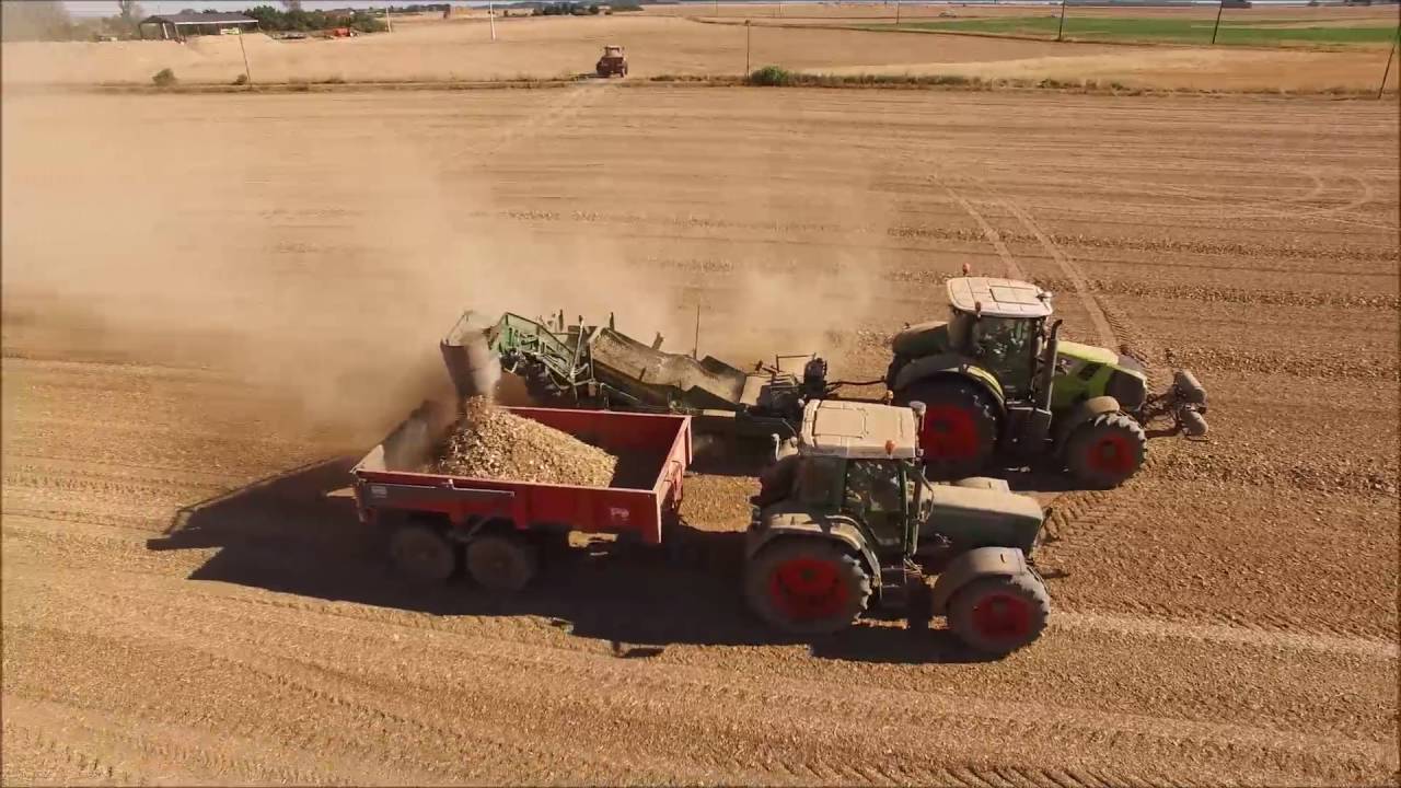[Phantom&OSMO] Ramassage de pierre 2016 | Claas AXION 810 +Thyregod TS 1500
