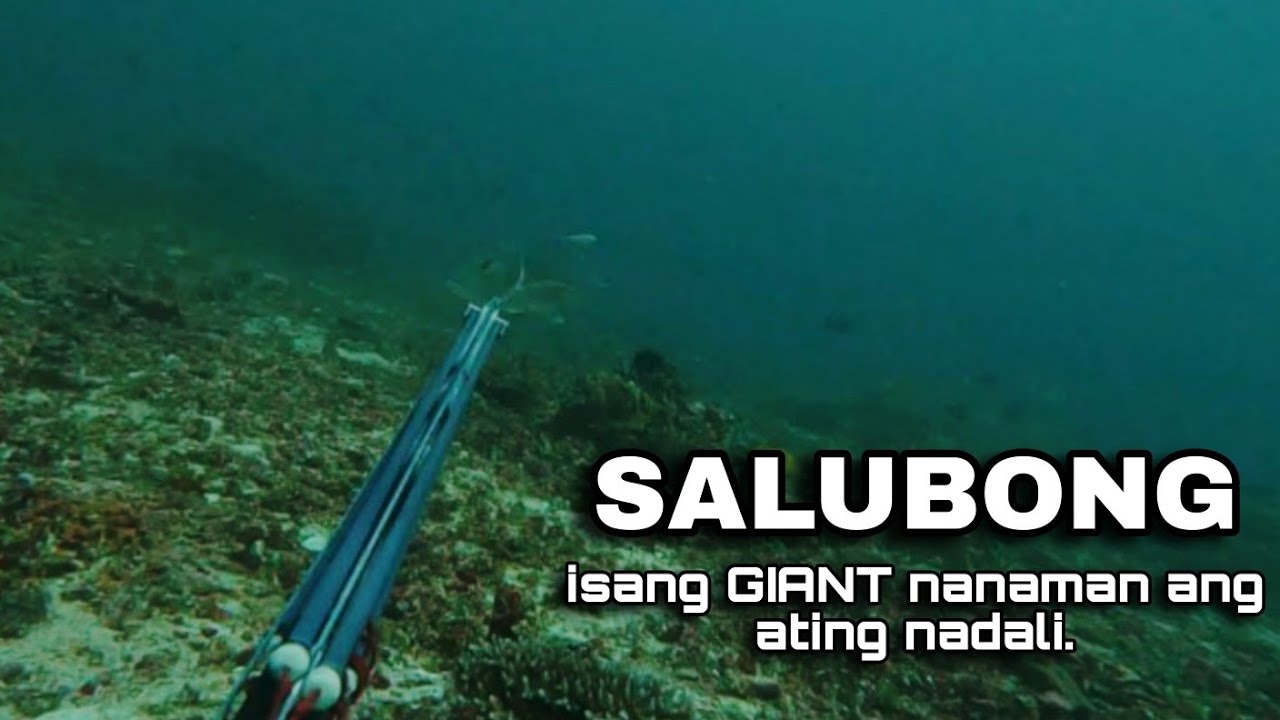 NAKA DALI NANAMAN NG GT | DAY SPEARFISHING with Master Kevin Galabin🤙 #boracayspearo