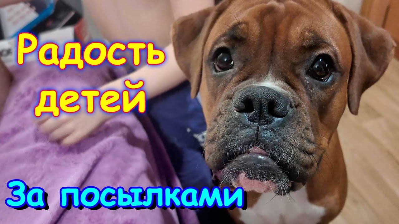 Экзамен Саши по математике. С Борей за нашими покупками. Море гвоздей. (01.26г.) Семья Бровченко.
