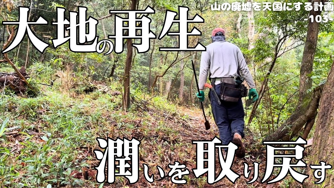 【森林再生】カチカチの大地に、水と空気を届ける。笹に覆われた大地の再生に挑む。