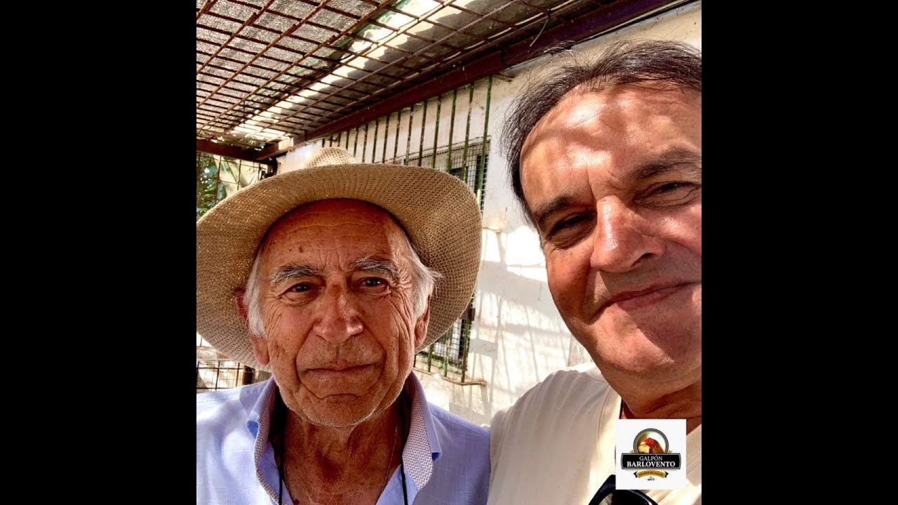 Hablemos un poco del Gallo Combatiente Español 🐓🐓.... Gracias Lalo Ballesteros!!!