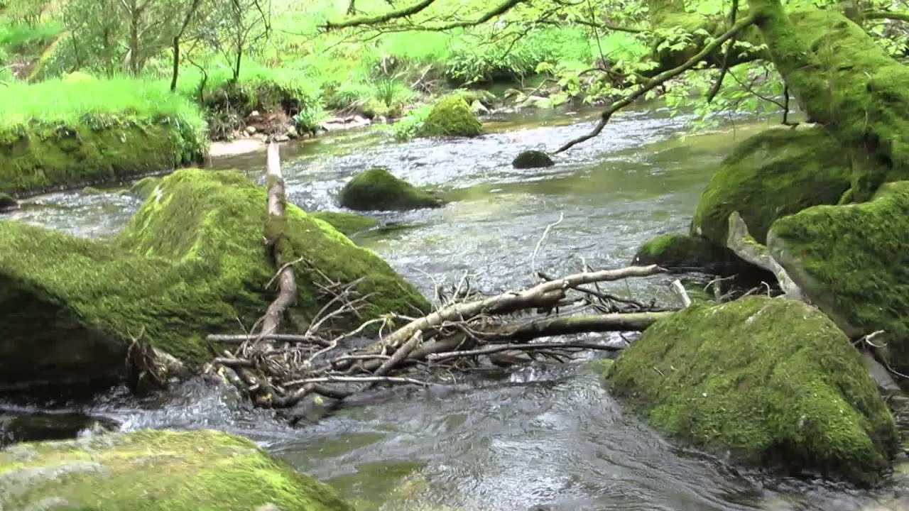 The Fowey River at Golitha Falls near Liskeard Cornwall 2