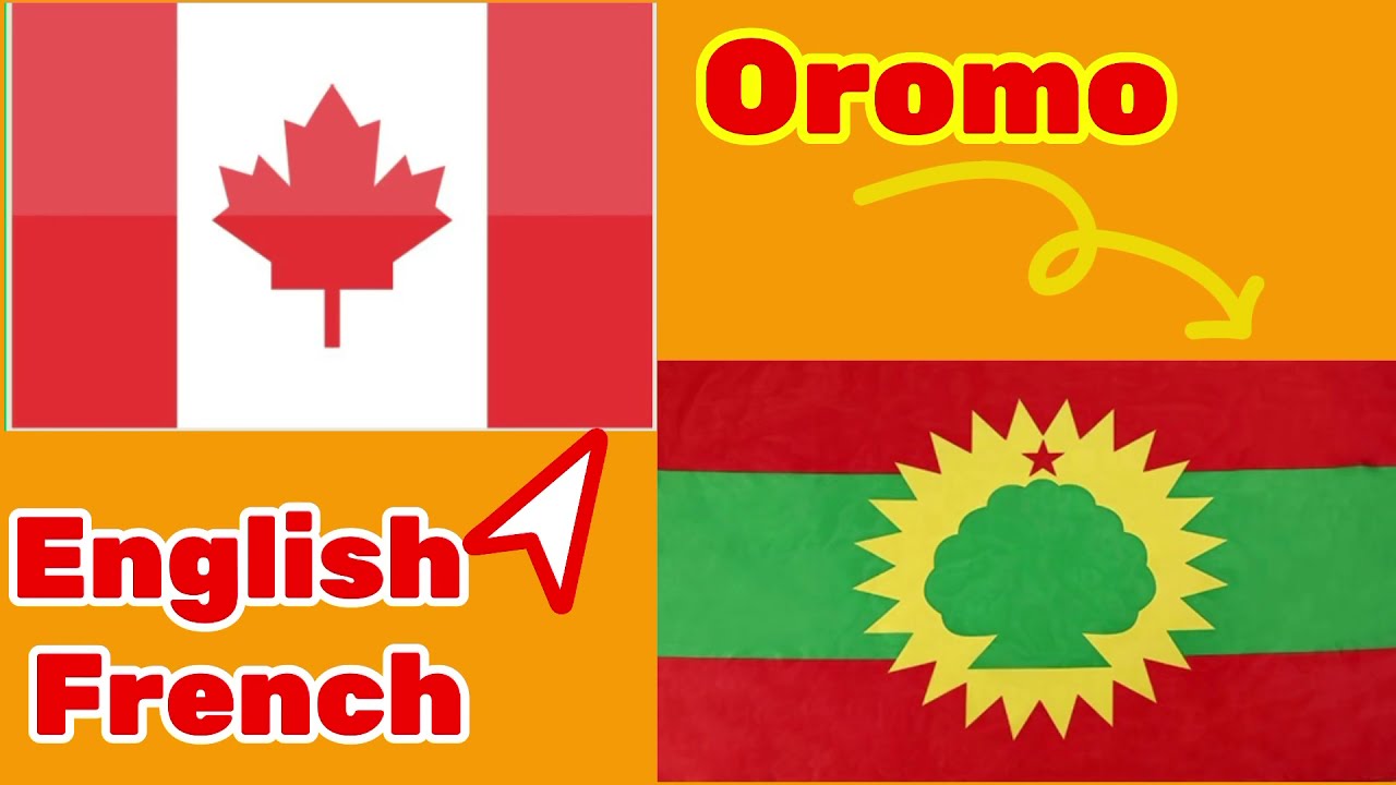 #familyvolgs #challenges #theimanshow Three Language Challenge | Oromo-English-French #youtubefamily