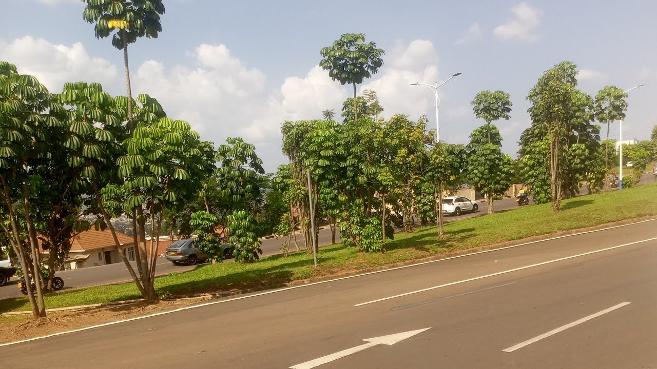 ISHI TV250 is live!  visity rwanda