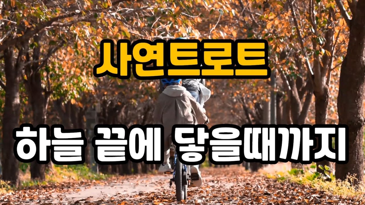 하늘 끝에 닿을때까지 (사연트로트)