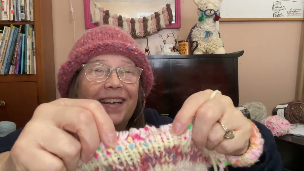 February plans and lots of yarn
