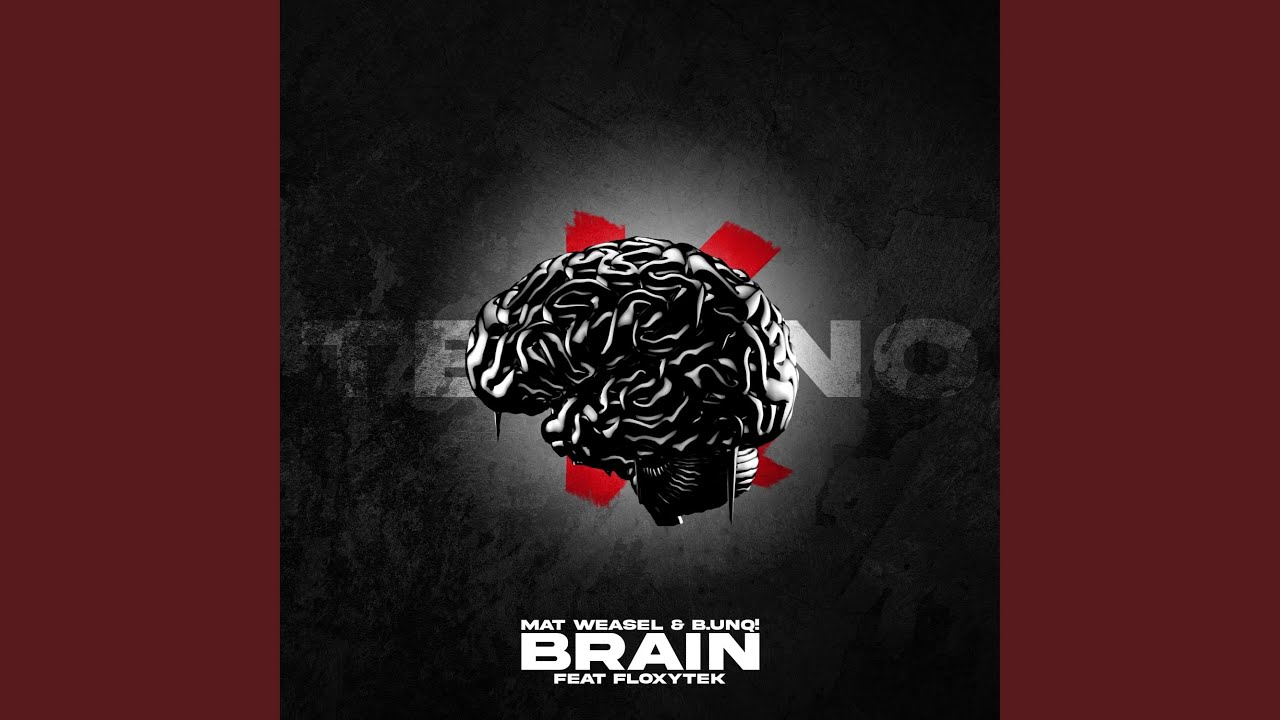 Brain