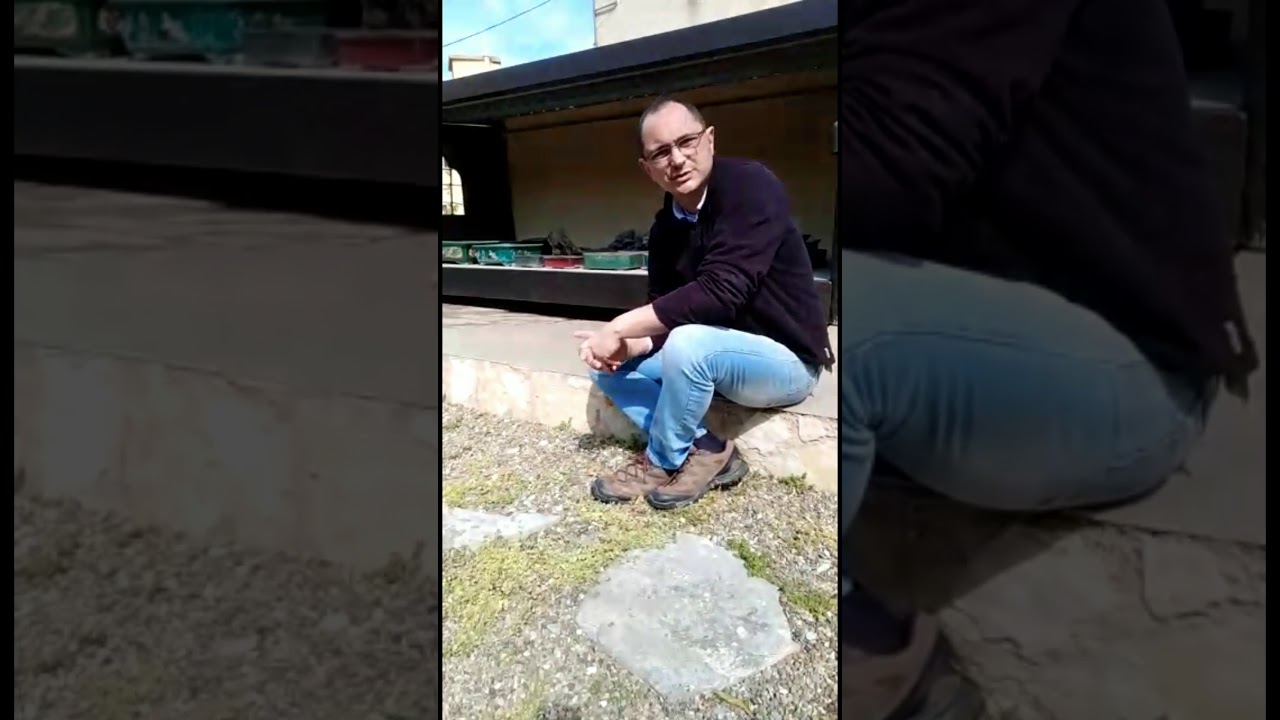 Uniti per una nuova primavera. Il presidente Luca Bragazzi introduce l'iniziativa