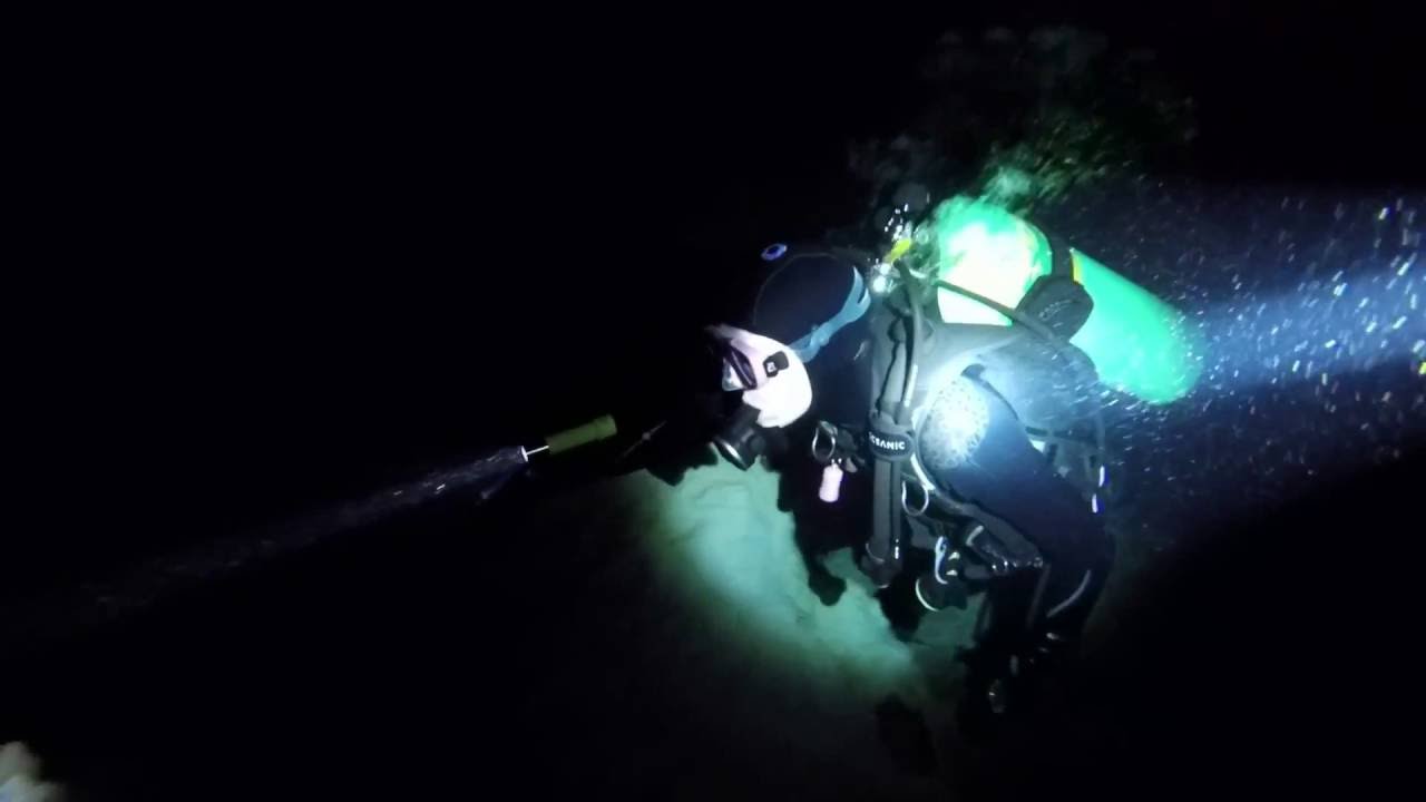 Diving Blue Grotto, Florida 9-30-2016