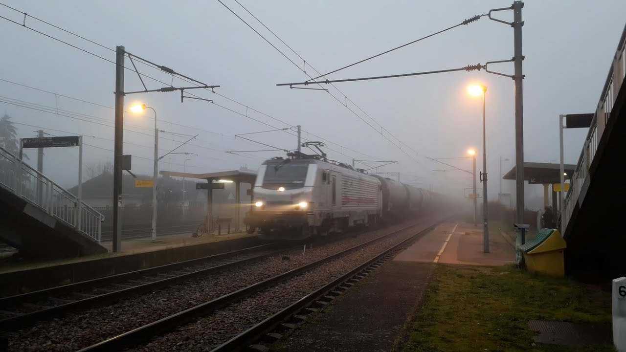 Trains normands dans le brouillard