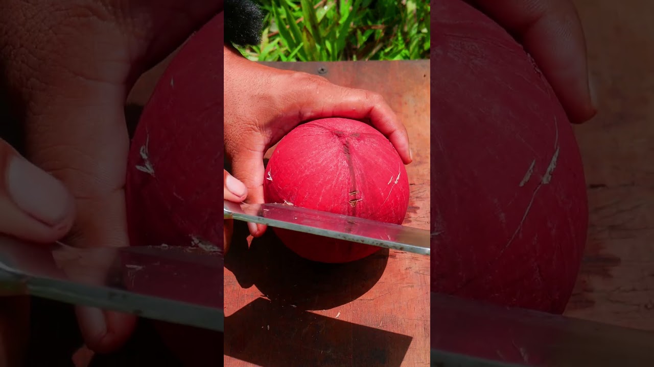 Super satisfying ASMR, opening a beautiful red coconut