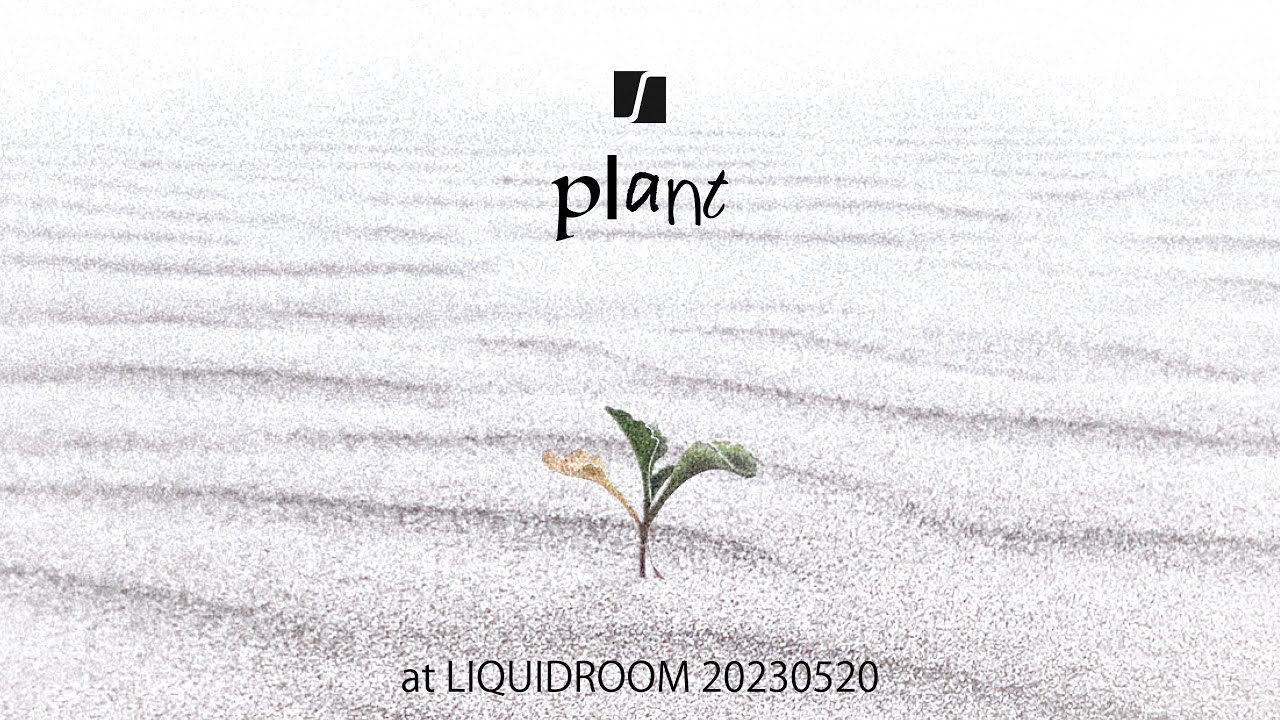 plant
