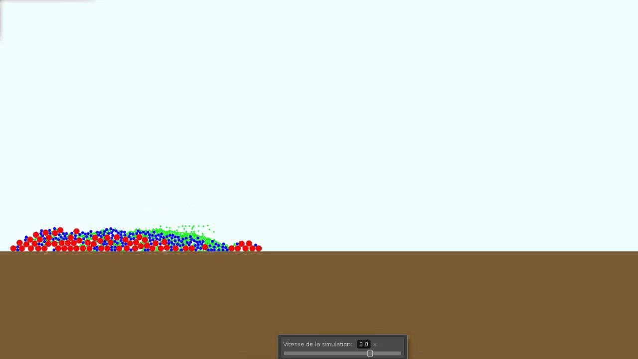 Sedimentation and transport