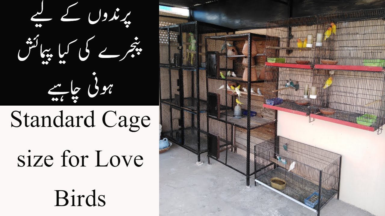 Birds cage size | standard cage size for lovebirds | Spot Welding cage