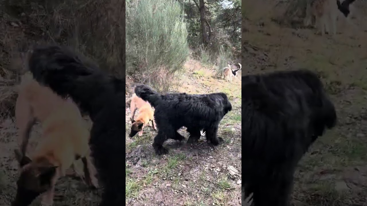 Descriptif de la journée ❤️