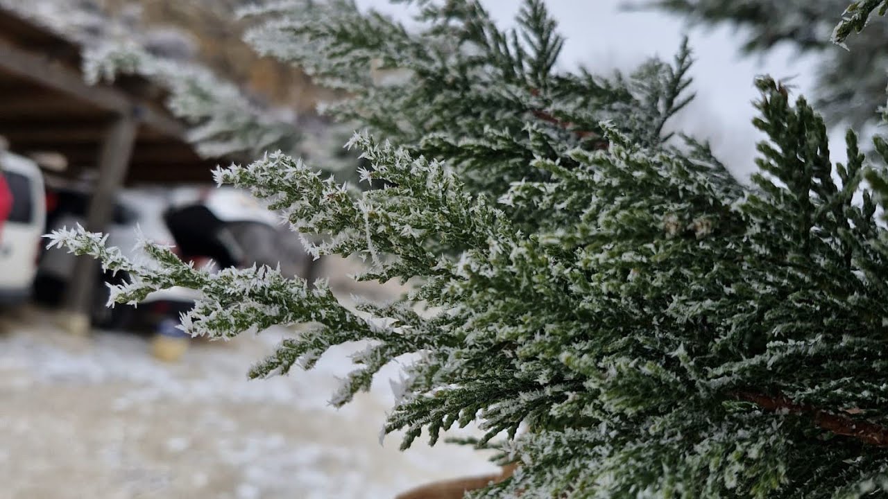 Snow in Lebanon