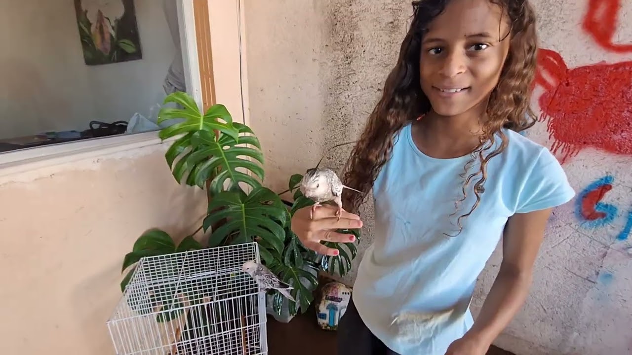 Minha calopsita está com diarreia