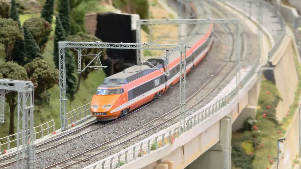 REE Modeles Le TGV in H0 il modello che fa la vera differenza 