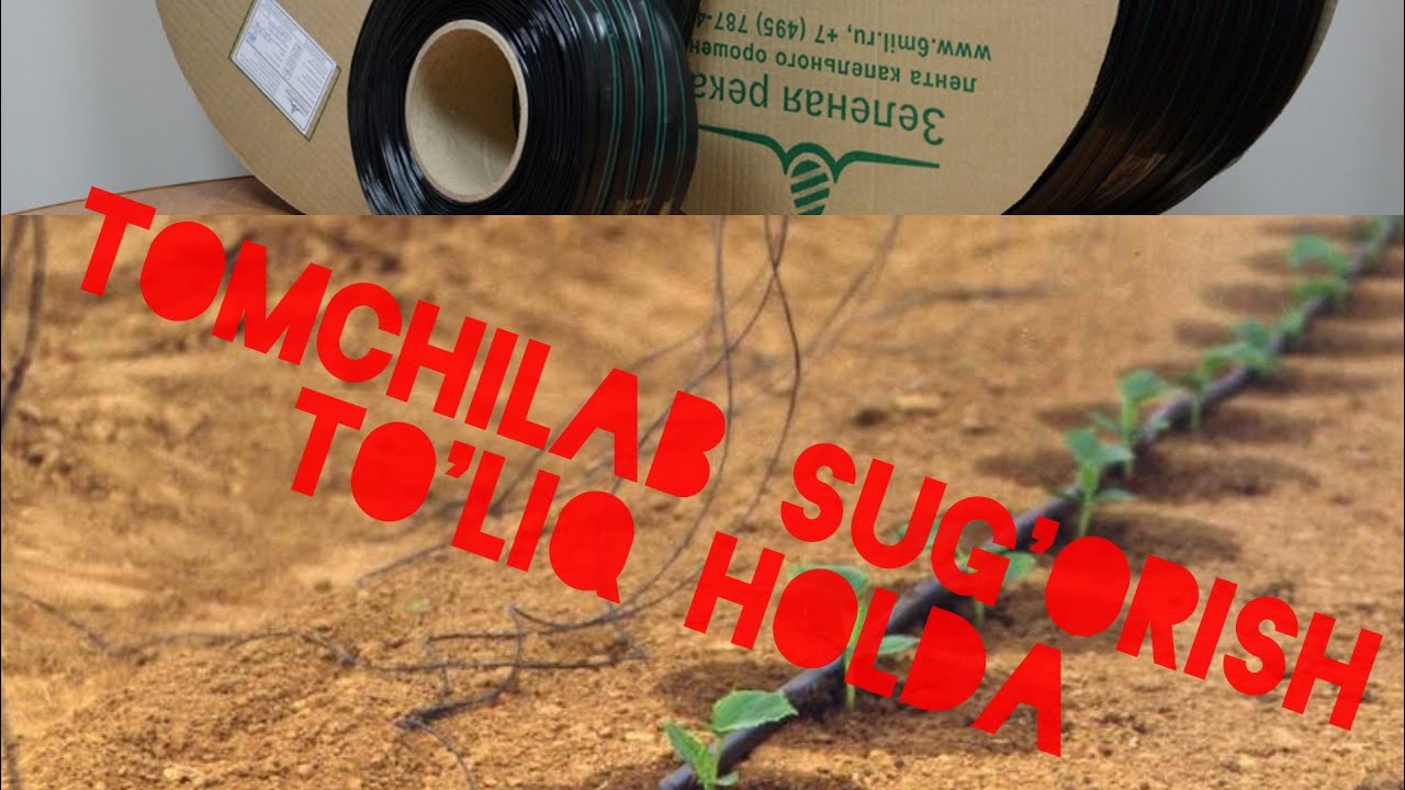 26.  TOMCHILAB SUG'ORISH haqida (to'liqroq)