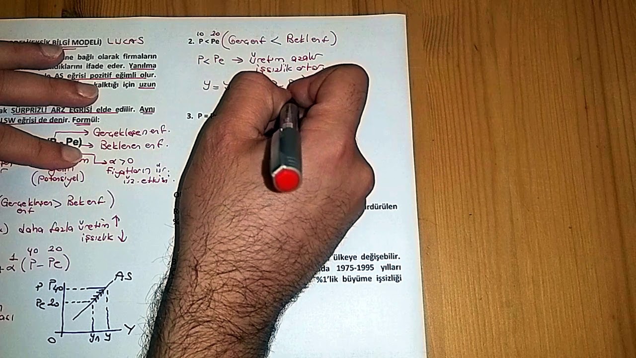 49) AD-AS MODELİ - 5 (Firma Yanılma Hipotezi)