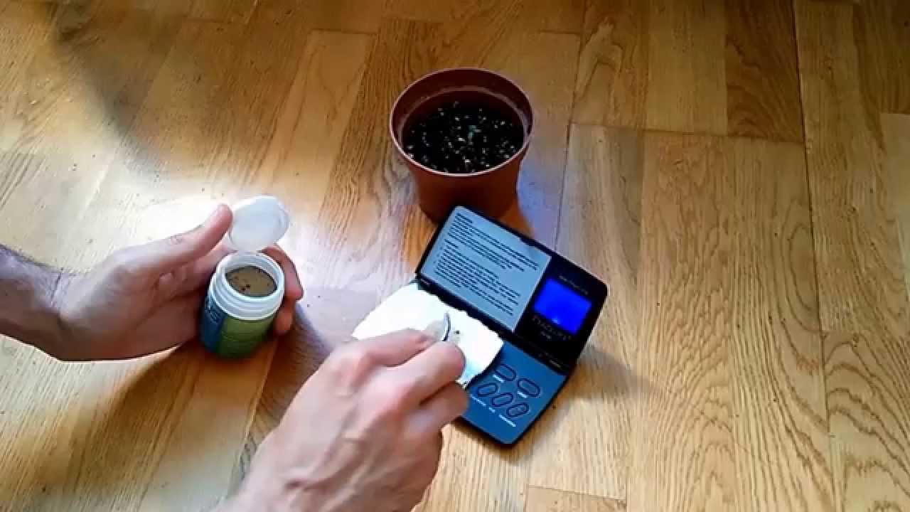 Mycobac de Jumus en Txees Bilbo de Genehtik