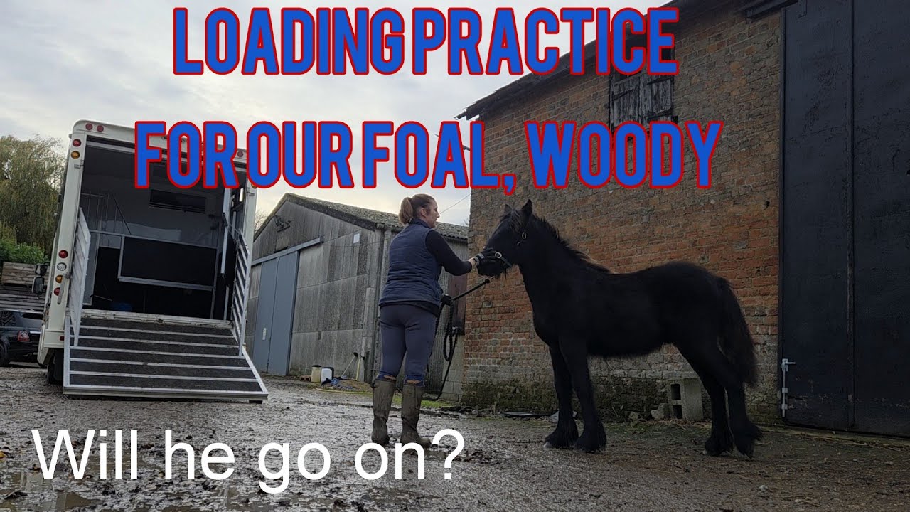Loading practice for Woody