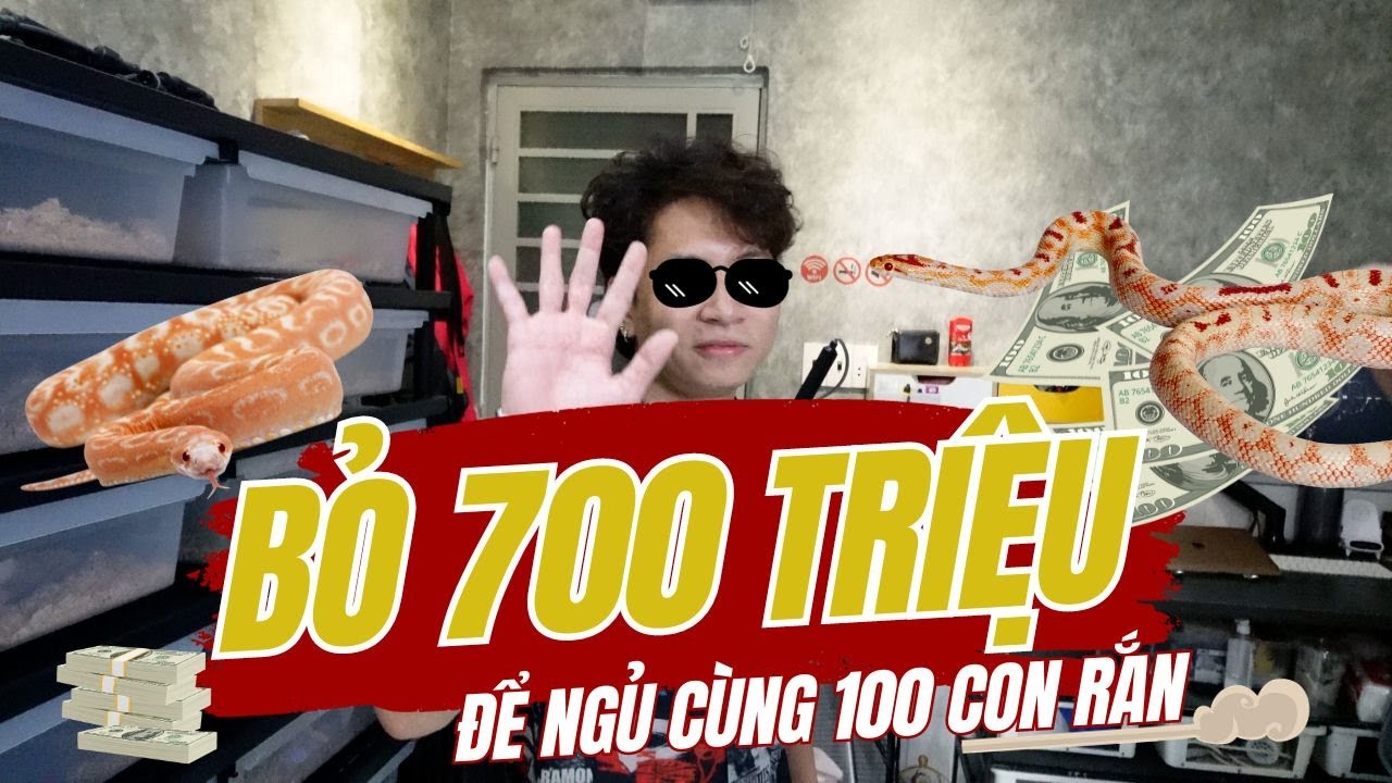 CHI 700 TRIỆU ĐỂ NGỦ CÙNG 100 CON RẮN |Thèm Bò Sát
