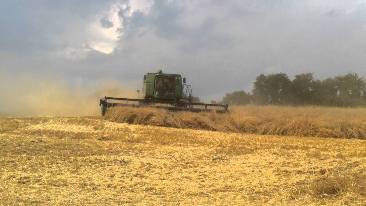 Lexion 570r and JD 9560sts in Rye 2