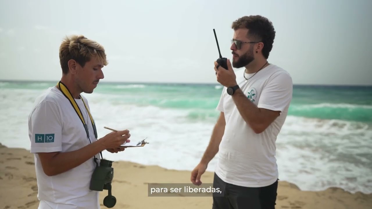 Proyecto Tortugas – Islas Canarias
