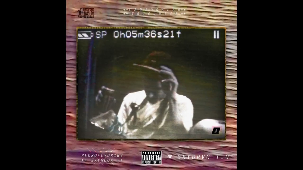 PEDRO &infin; LADROGA + $KYHOOK - SKYDRVG 1.0 (FULL ALBUM)