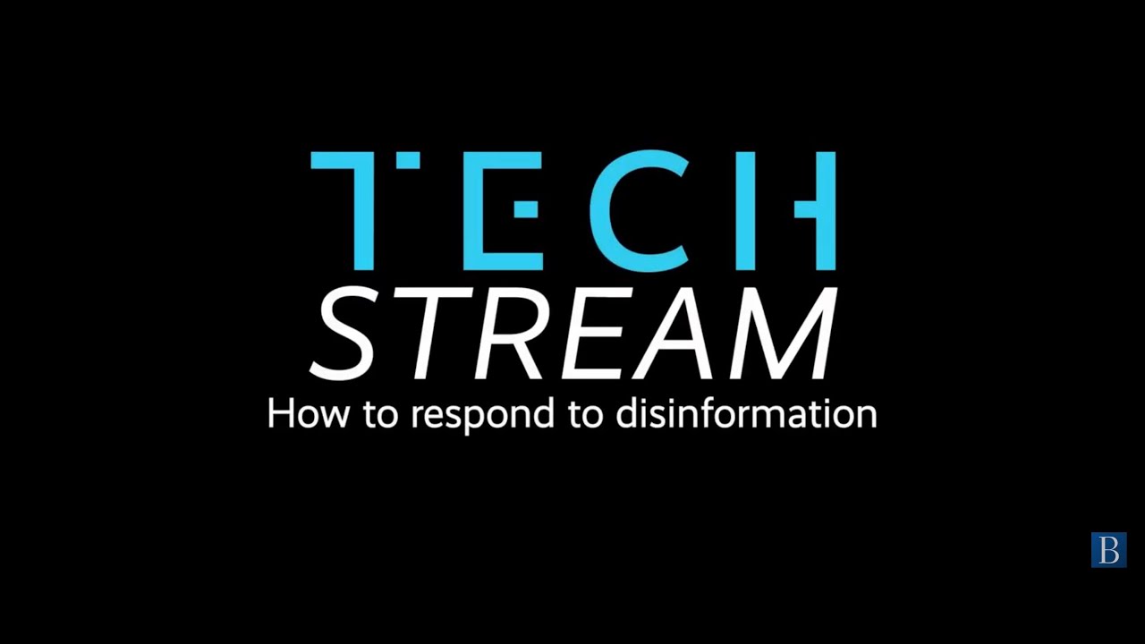 Alina Polyakova on responding to disinformation