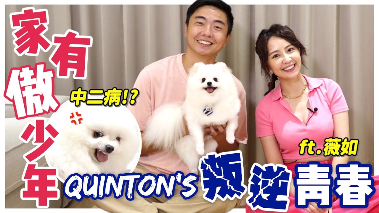 家有傲少年!?#松鼠博美 Quinton的叛逆青春🔥🔥出現討好性人格!?被迫跟女友分手!?刷牙現場直接翻臉!!ft.賴薇如｜@熊爸估狗dogtrainer