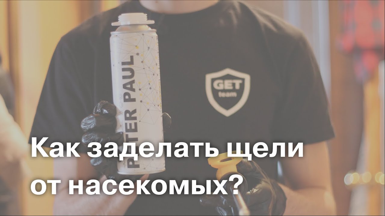 Как заделать щели от насекомых?
