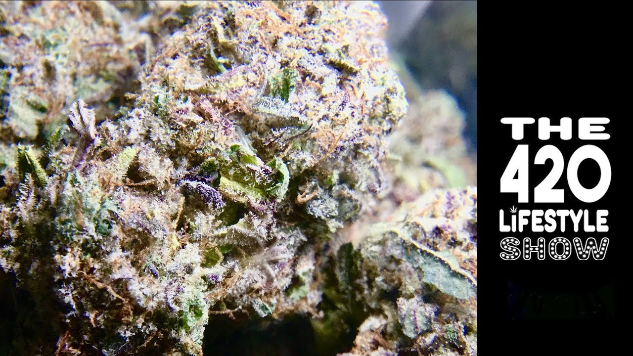 The 420 Lifestyle Show: Just Another Manic Monday