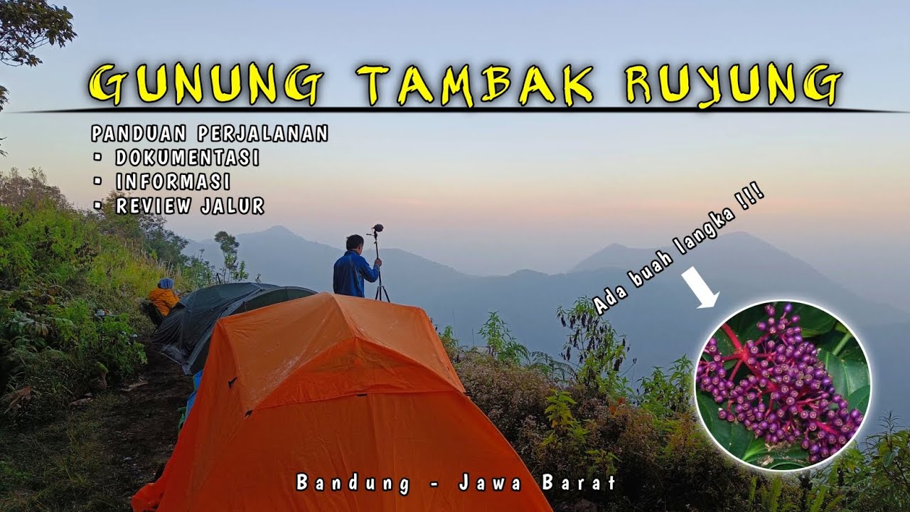DI GUNUNG INI ADA BUAH LANGKA❗PENDAKIAN GUNUNG TAMBAK RUYUNG BANDUNG