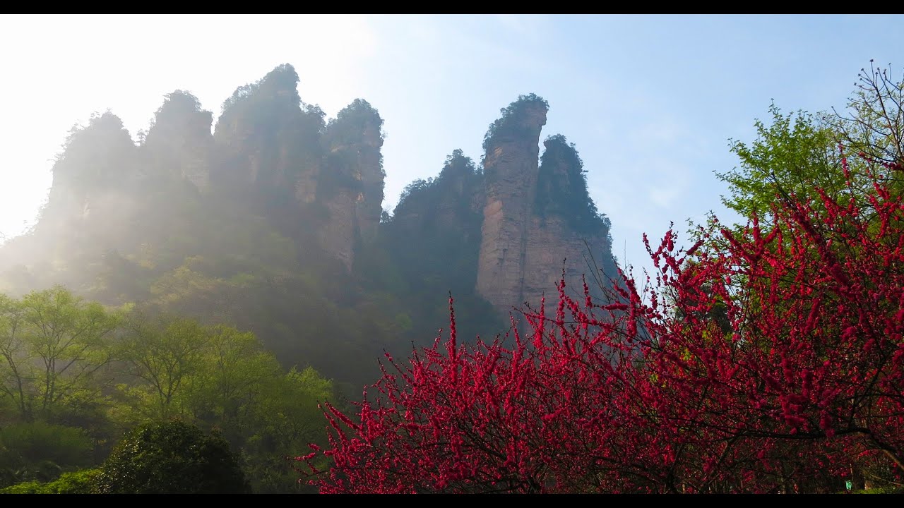 Zhangjiajie National Park : step-by-step