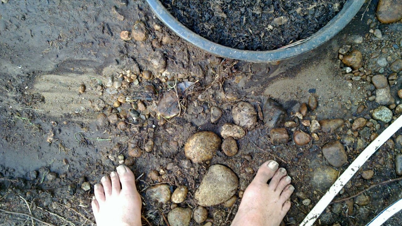 Your Feets Too Big