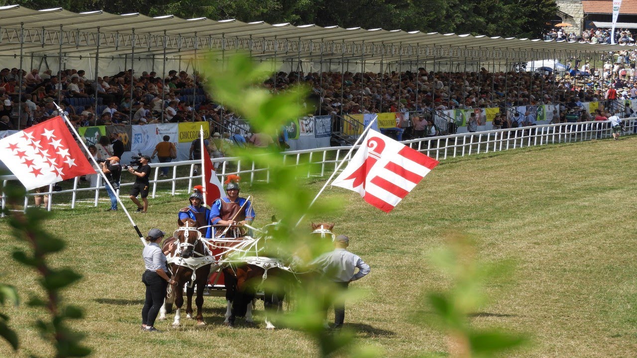Marché concours 2023