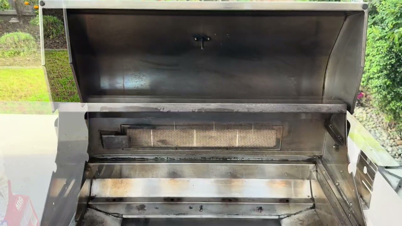 Lion grill cleaning 