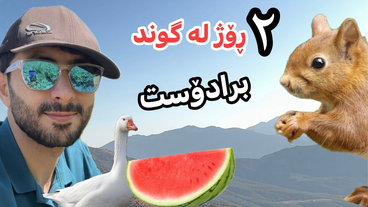Tomato Country - Bradost Region - Syedkan