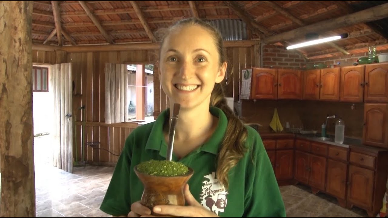 Produção de erva-mate orgânica gera renda até da indústria cosmética - Programa Rio Grande Rural
