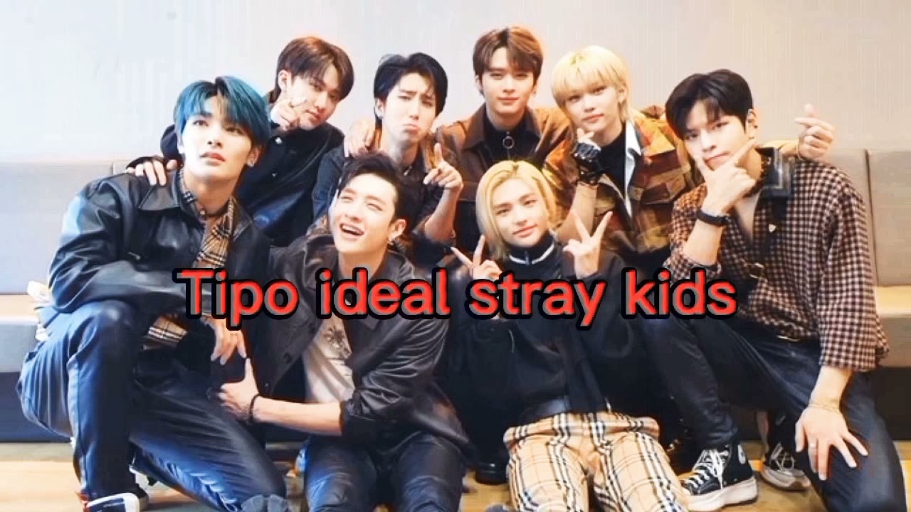 TIPO IDEAL STRAY KIDS